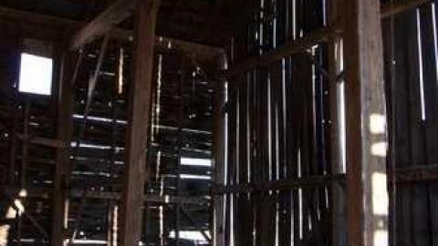 Barren - DSC02674.jpg