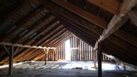 Barren - DSC02675.jpg