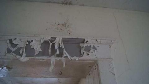 Barren - DSC02682.jpg