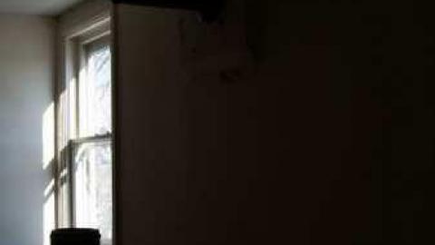 Barren - DSC02690.jpg