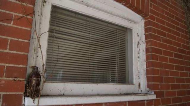 Tremaine Farm House North photo 4