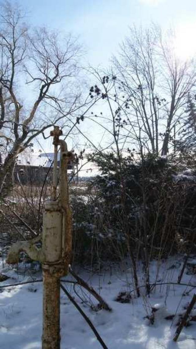 Tremaine Farm House North photo 5