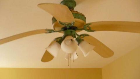 January '13 - Hill-House-Jr.--St.-Johns-Sdrd17.jpg