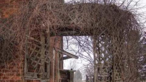 One man's trash.... - 2a.jpg