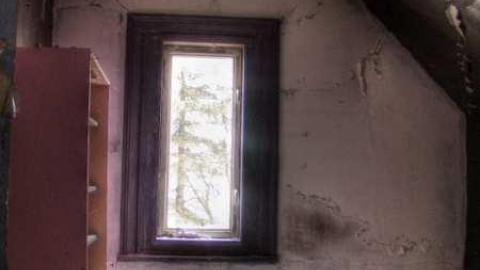 One man's trash.... - 4b.jpg