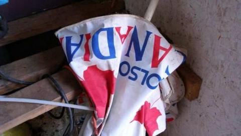 Pitchers & Batters - P1240305.jpg