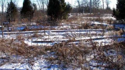 Pitchers & Batters - P1240311.jpg