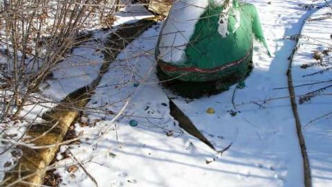 Jaguar Sports Bar photo 4