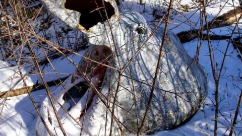 Pitchers & Batters - P1240313.jpg