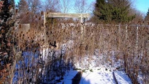 Pitchers & Batters - P1240323.jpg