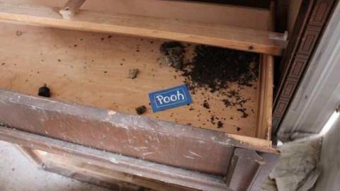 Dinnae marry fur money! - Sloss8.jpg