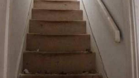 Dinnae marry fur money! - Sloss23.jpg