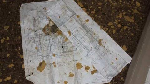 Dinnae marry fur money! - Sloss31.jpg