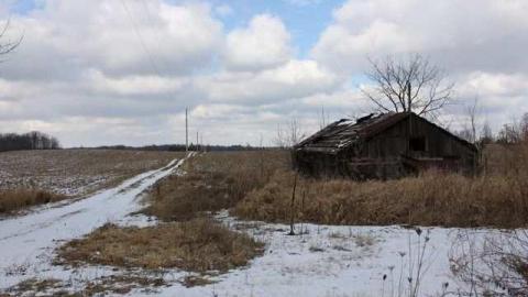 Dinnae marry fur money! - Sloss32.jpg