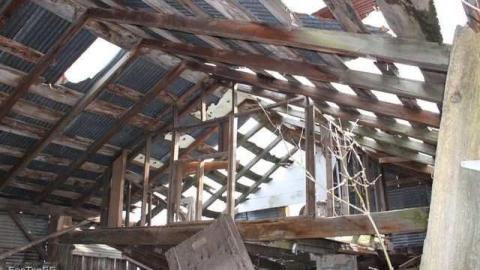 Dinnae marry fur money! - Sloss33.jpg