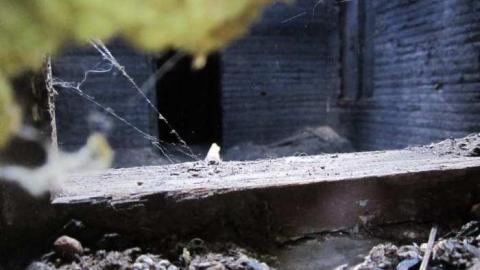 Mill House - Iron--Brass-Ltd-Sole-Survivor14.jpg