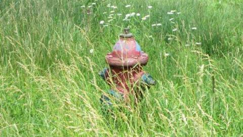 Mill House - Iron--Brass-Ltd-Sole-Survivor21.jpg