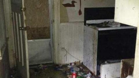 Spies! - City-Orchards14.jpg