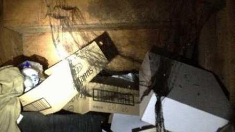 Spies! - City-Orchards15.jpg