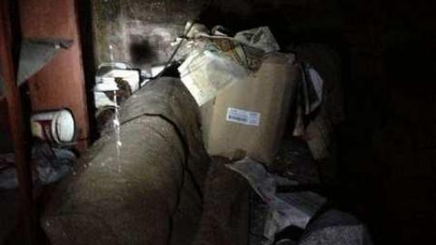 Spies! - City-Orchards16.jpg