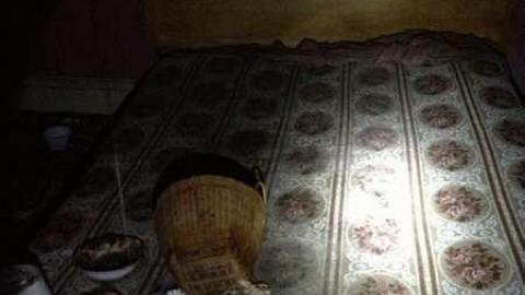 Spies! - City-Orchards19.jpg