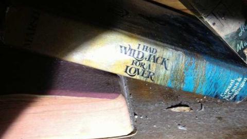 Spies! - City-Orchards23.jpg