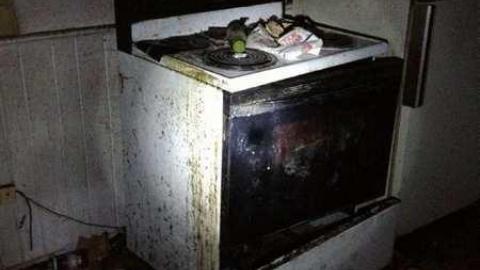 Spies! - City-Orchards146.jpg