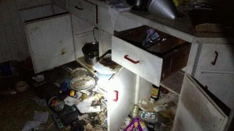 Spies! - City-Orchards147.jpg