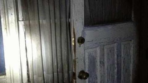 Spies! - City-Orchards30.jpg