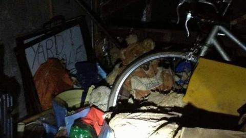 Spies! - City-Orchards151.jpg