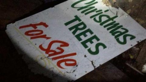 Spies! - City-Orchards34.jpg