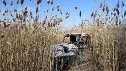 Lafarge Jan 2013 - 002 - IMG_0928b2.jpg