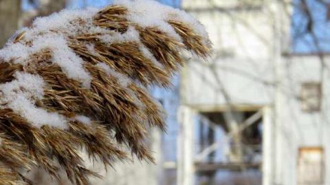 Lafarge Jan 2013 - 009 - IMG_0919bX.jpg