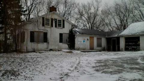 Photo from 30/1/2013