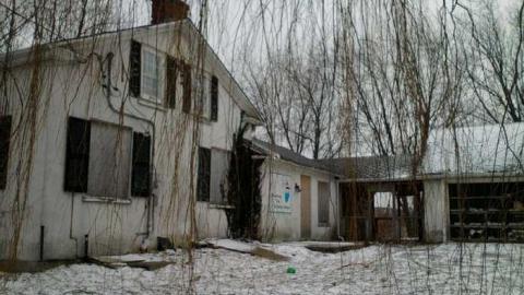 Photo from 30/1/2013