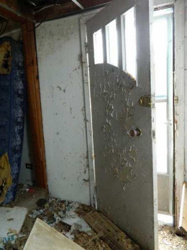 Go Green....or Not. photo 4