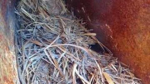 Easily Restored - Darker-Shades-Off-Fifty11.jpg