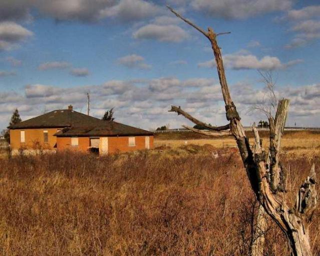 Still Freed Jan 2013 - IMG_1738bOAP.jpg