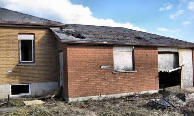 Still Freed Jan 2013 - IMG_1740b 1280.jpg