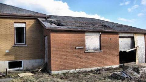 Still Freed Jan 2013 - IMG_1740b 1280.jpg