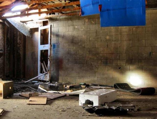 Still Freed Jan 2013 - IMG_1743db.jpg