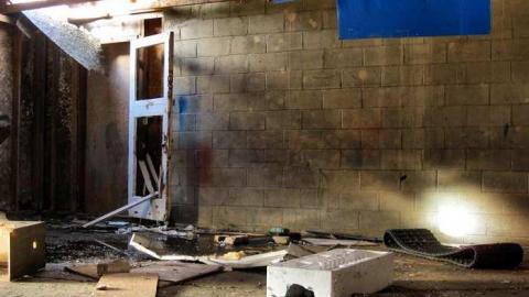 Still Freed Jan 2013 - IMG_1743db.jpg