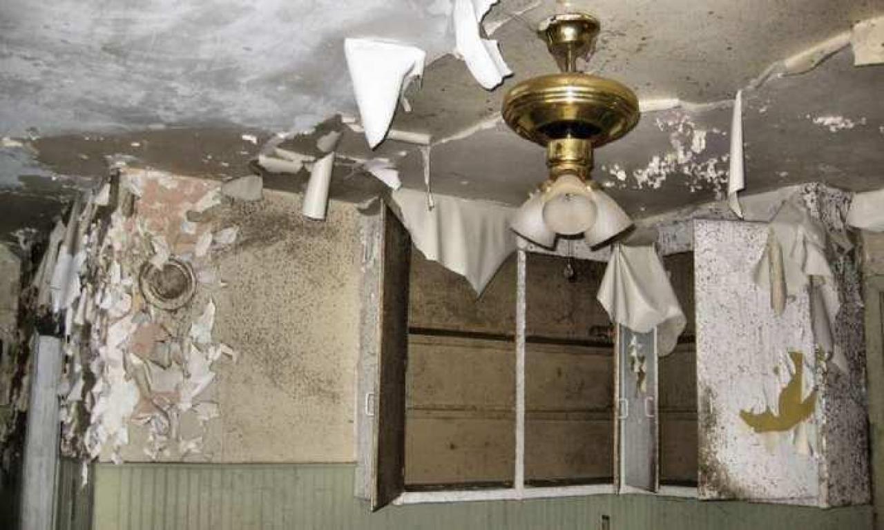 Still Freed Jan 2013 - IMG_1747b 1280.jpg