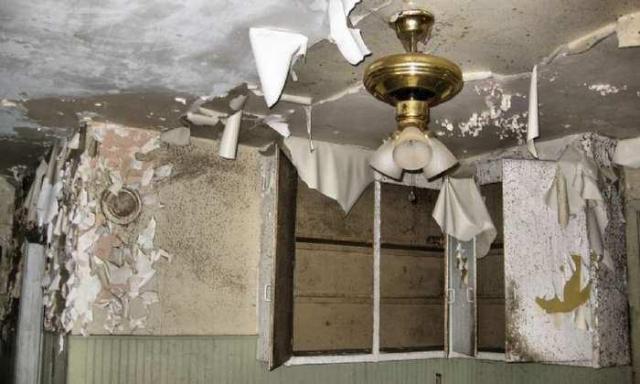 Still Freed Jan 2013 - IMG_1747b 1280.jpg