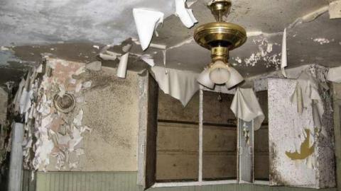 Still Freed Jan 2013 - IMG_1747b 1280.jpg