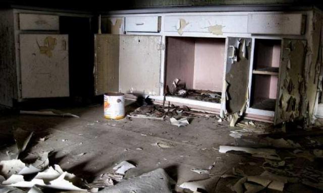 Still Freed Jan 2013 - IMG_1751d 1280.jpg