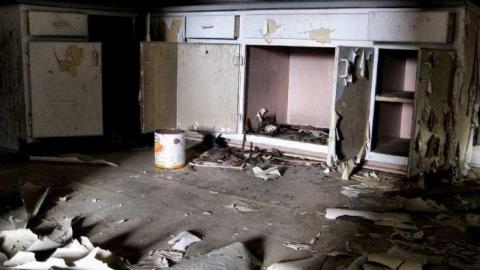 Still Freed Jan 2013 - IMG_1751d 1280.jpg