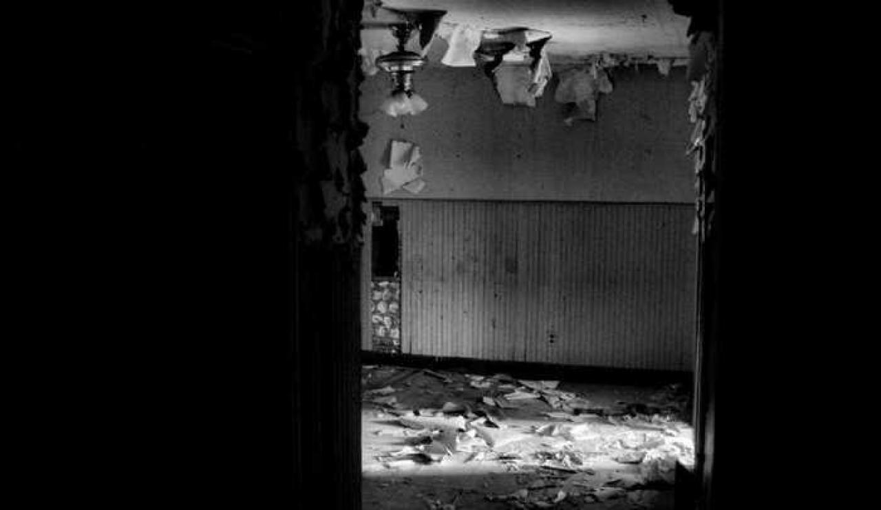 Still Freed Jan 2013 - IMG_1760c 1280.jpg