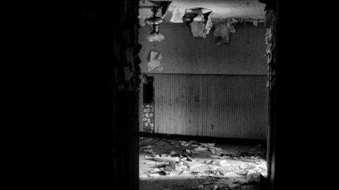 Still Freed Jan 2013 - IMG_1760c 1280.jpg