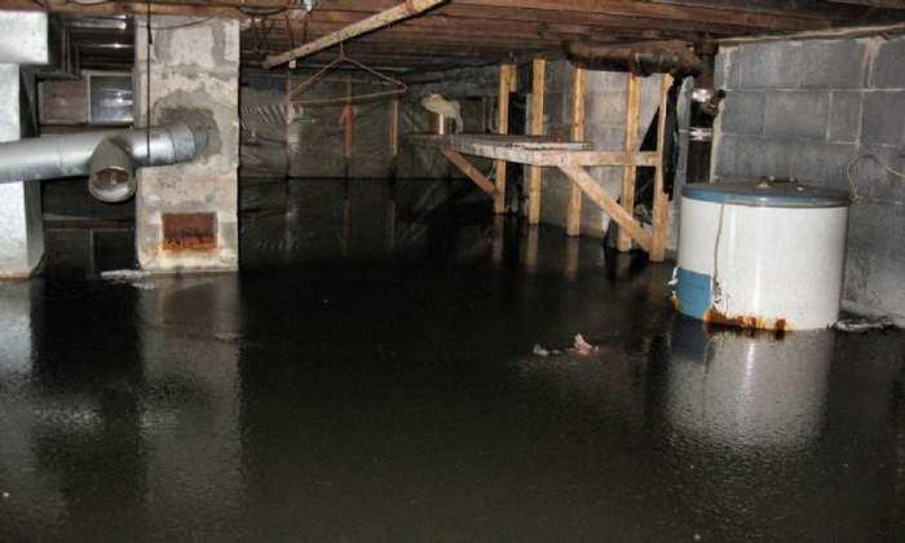 Still Freed Jan 2013 - IMG_1765b 1280.jpg